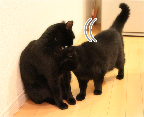 ささやかで、最高のしあわせ_a0389088_17484362.jpg