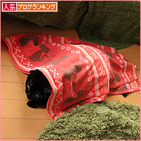 ささやかで、最高のしあわせ_a0389088_17484383.jpg