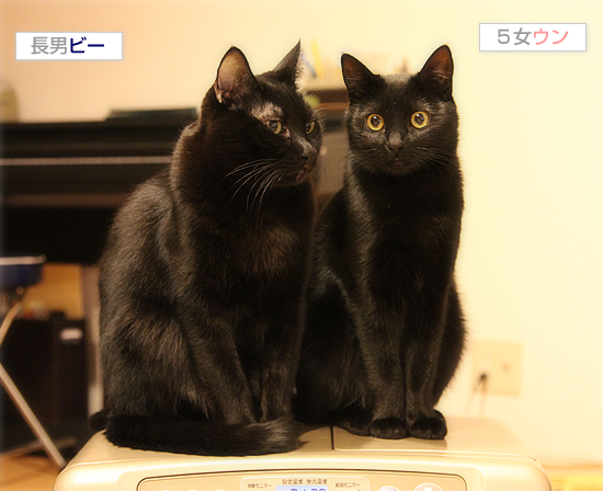 ずっと、ふたり_a0389088_17485843.jpg