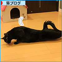 ずっと、ふたり_a0389088_17485993.jpg