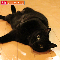 今年の漢字in黒猫牧場_a0389088_17492963.jpg