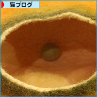 焼肉屋さんの看板猫_a0389088_17494437.jpg