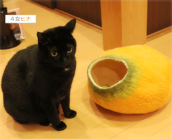 正体見破ったり!!_a0389088_17494461.jpg