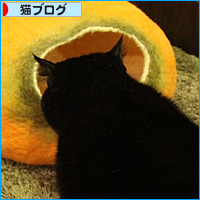 正体見破ったり!!_a0389088_17494514.jpg