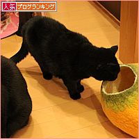 正体見破ったり!!_a0389088_17494580.jpg