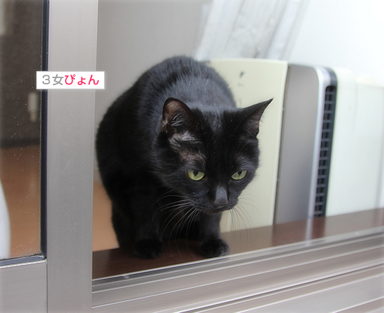 大寒のおさんぽ_a0389088_17495138.jpg