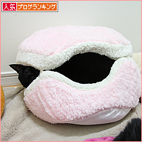大寒のおさんぽ_a0389088_17495222.jpg