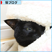 大寒のおさんぽ_a0389088_17495230.jpg
