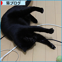 日曜日の猛抗議_a0389088_17495922.jpg