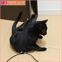 日曜日の猛抗議_a0389088_17495988.jpg