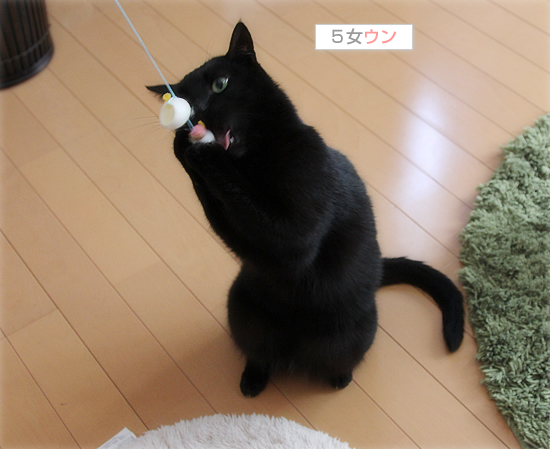 人間に変身するおもちゃ_a0389088_17500141.jpg