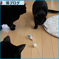 人間に変身するおもちゃ_a0389088_17500280.jpg