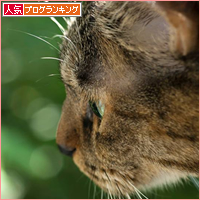 江戸っ子通信♪_a0389088_17500616.jpg