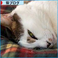 江戸っ子通信♪_a0389088_17500781.jpg