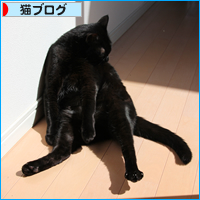 セレブ猫ベッドの衝撃のその後_a0389088_17504929.jpg