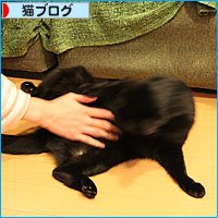 目からうろこのパンケーキ_a0389088_17505022.jpg