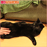 目からうろこのパンケーキ_a0389088_17505083.jpg
