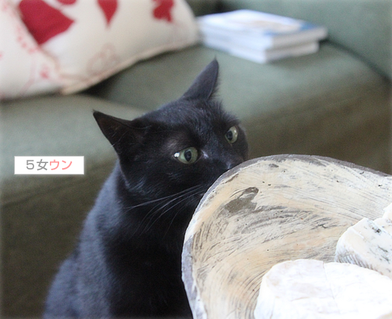 臭いのもとは・・・？_a0389088_17505296.jpg