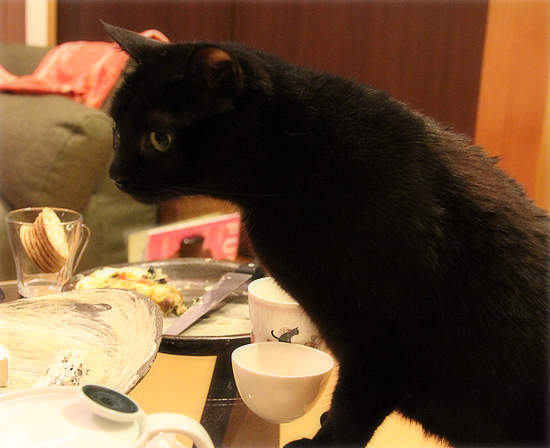 臭いのもとは・・・？_a0389088_17505335.jpg