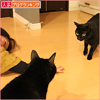 臭いのもとは・・・？_a0389088_17505392.jpg
