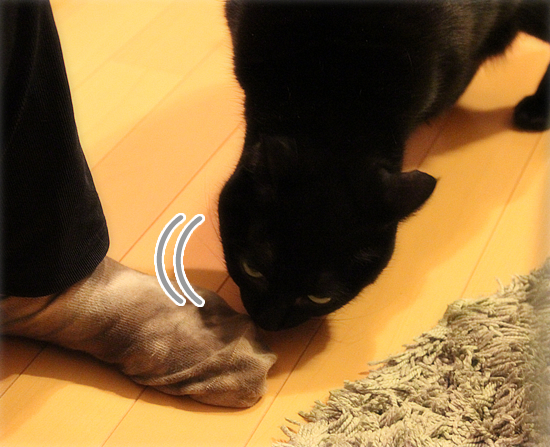 臭いのもとは・・・？_a0389088_17505394.jpg