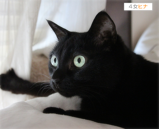 真っ黒の集会_a0389088_17505627.jpg