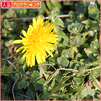 うさぎのほっぺには・・・?_a0389088_17505649.jpg