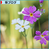 うさぎのほっぺには・・・?_a0389088_17505652.jpg