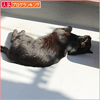 真っ黒の集会_a0389088_17505752.jpg