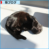 真っ黒の集会_a0389088_17505758.jpg