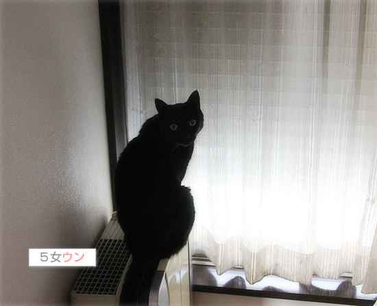 真っ黒の集会_a0389088_17505792.jpg