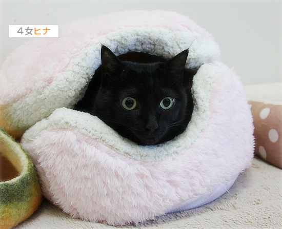 単純でよかった_a0389088_17510147.jpg