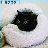 単純でよかった_a0389088_17510216.jpg