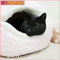 単純でよかった_a0389088_17510237.jpg