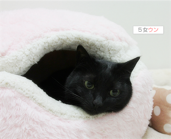単純でよかった_a0389088_17510251.jpg