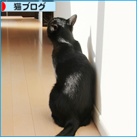 暴君から、やさしい猫に・・・でも_a0389088_17510517.jpg