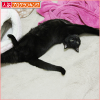 爪とぎ活用法?_a0389088_17510780.jpg