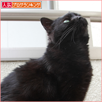 釈迦の顔_a0389088_17510962.jpg