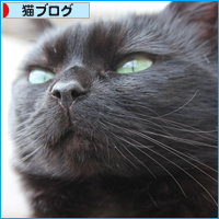 釈迦の顔_a0389088_17510986.jpg
