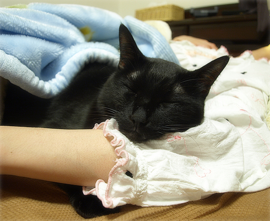 今は亡きキミのこと_a0389088_17511115.jpg
