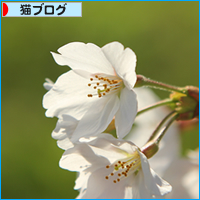 今は亡きキミのこと_a0389088_17511216.jpg