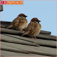 今は亡きキミのこと_a0389088_17511285.jpg