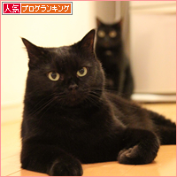 ビーの思い出_a0389088_17513216.jpg