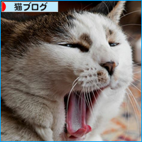 江戸っ子ナツの春通信♪_a0389088_17514207.jpg