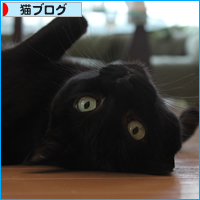 大事件_a0389088_17533461.jpg