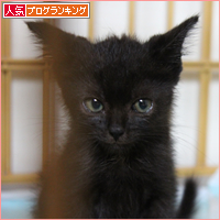 子猫なりに・・・_a0389088_17533674.jpg