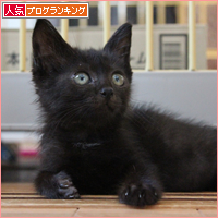 あなたは、どう思いますか?_a0389088_17534771.jpg
