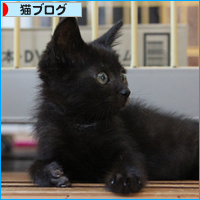 あなたは、どう思いますか?_a0389088_17534798.jpg