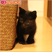 少しずつ成長しよう_a0389088_17534840.jpg