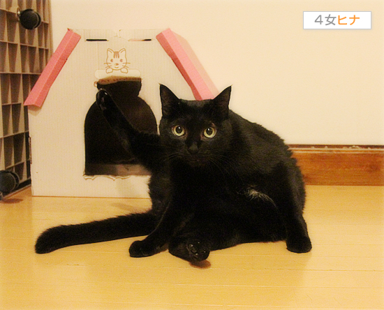 少しずつ成長しよう_a0389088_17534857.jpg